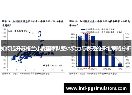 如何提升苏格兰小麦国家队整体实力与表现的多维策略分析